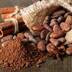 Cacao Investimento