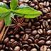 Caffè Arabica Investimento