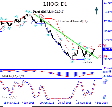 LHOG rises on lower Chinese pig supply Technical Analysis  IFC Markets