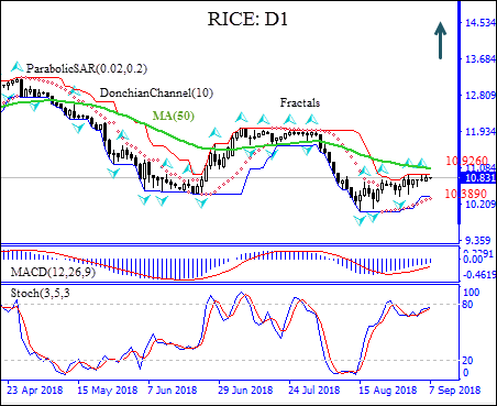 Rice price Technical  Analysis IFC Markets