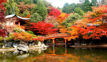 Autumnal Equinox Day in Japan in 2020