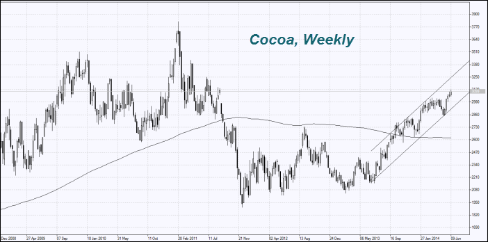  Cocoa prices