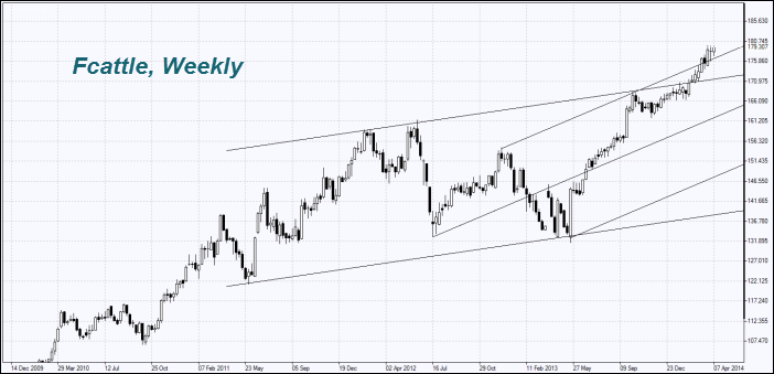 Fcattle, Weekly