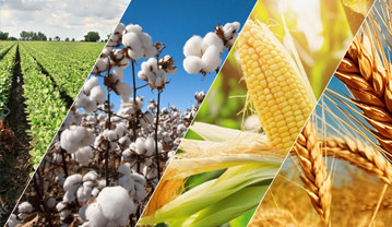 Commodities Commodities