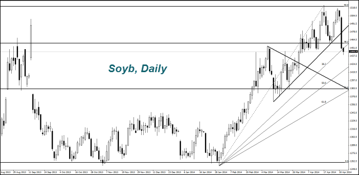 Soyb, Daily