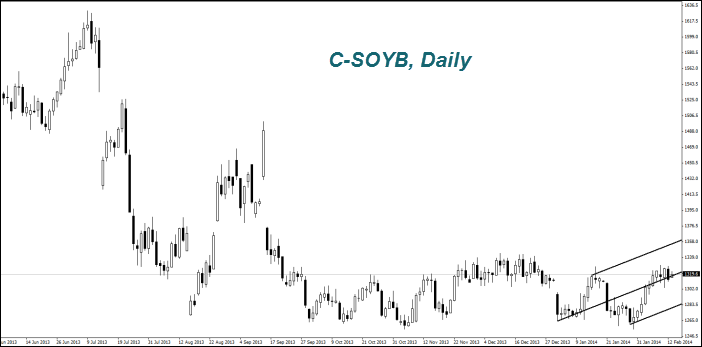C-SOYB, Daily