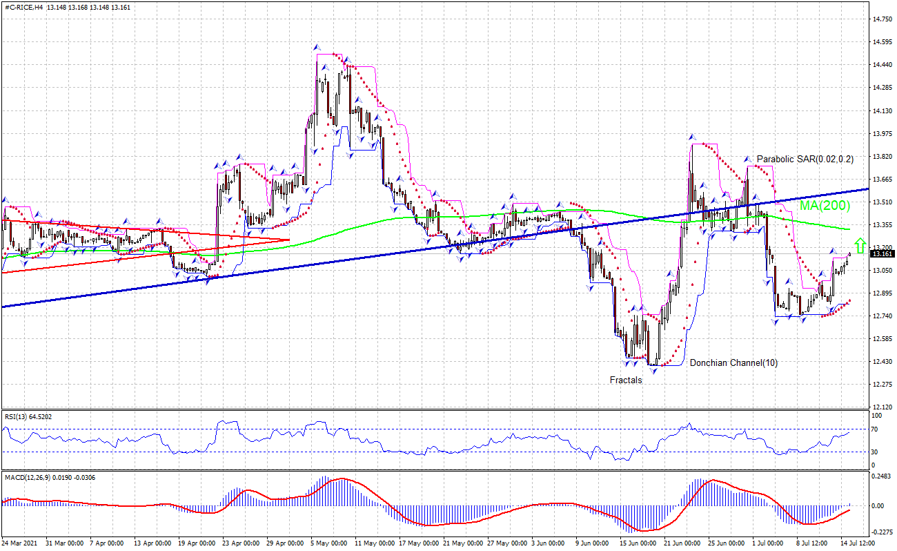 Rice Investments Technical Analysis Rice Investments Trading 202107