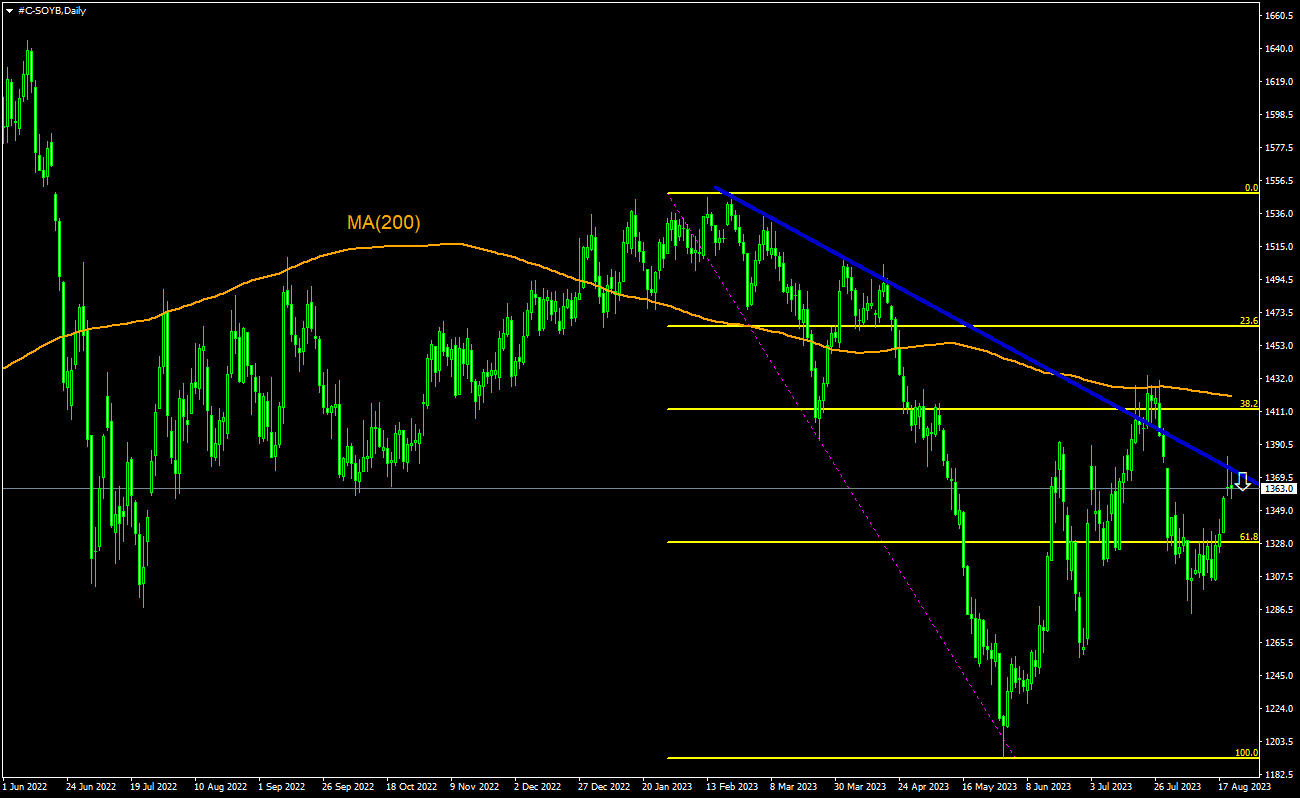 Idéia de negociação - Feijões de soja, 22-08-2023