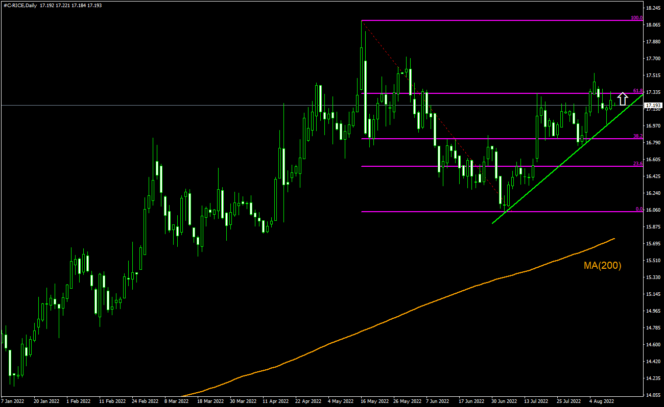 Trading Idea - Rough Rice, 12-08-2022 | IFCM