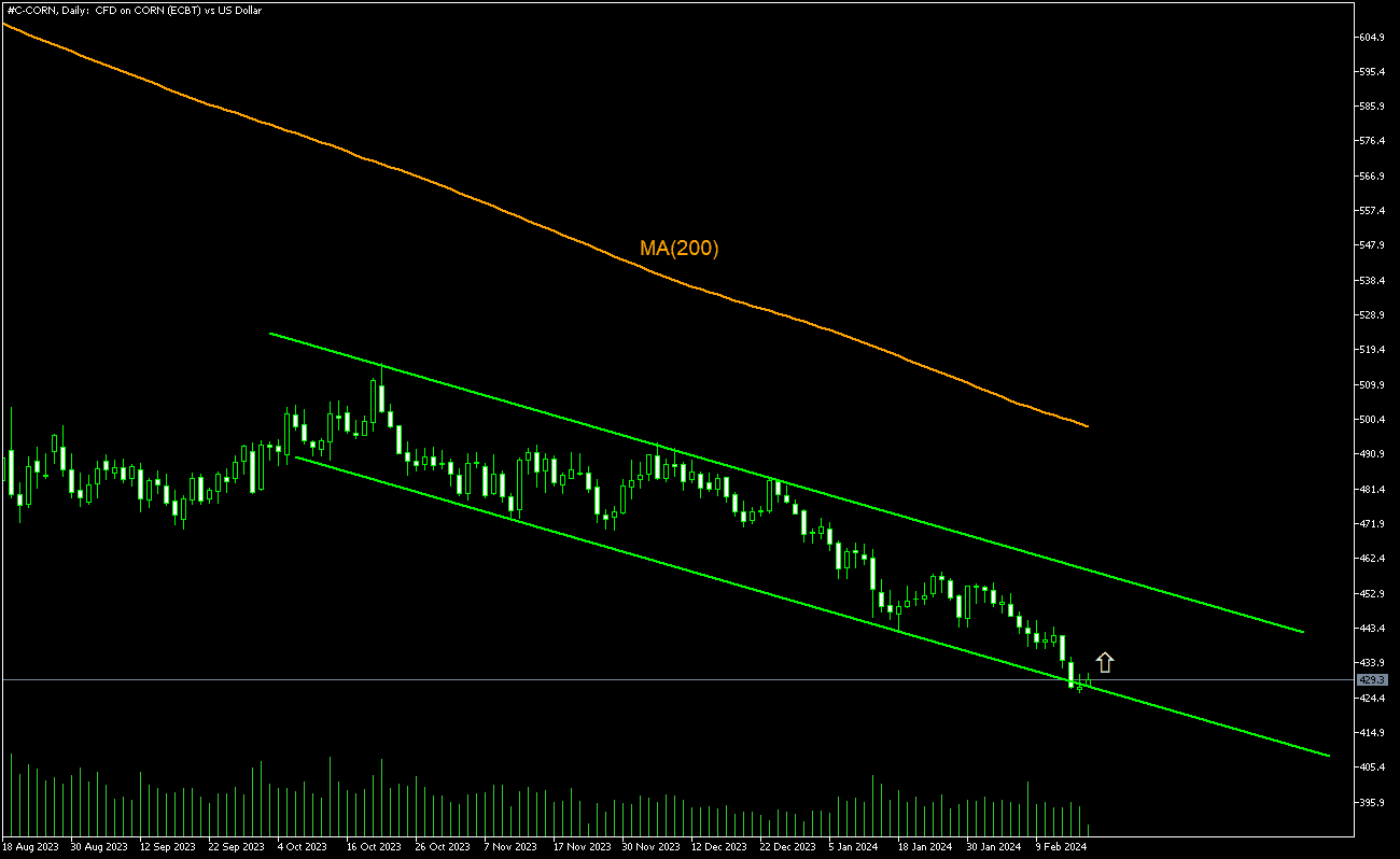 Trading Idea - Corn, 20-02-2024