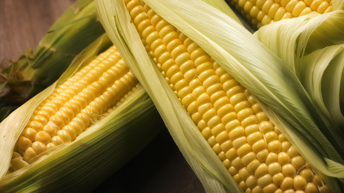 玉米市场新闻和价格预测