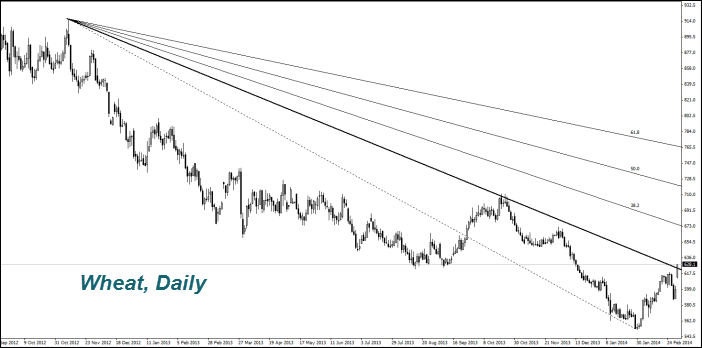 Wheat, Daily