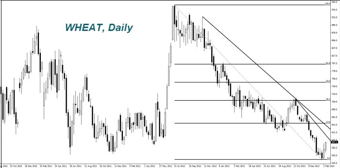 WHEAT, Daily