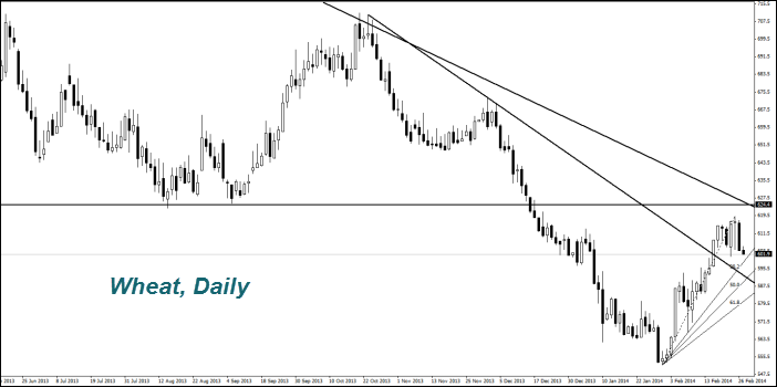 WHEAT, Daily
